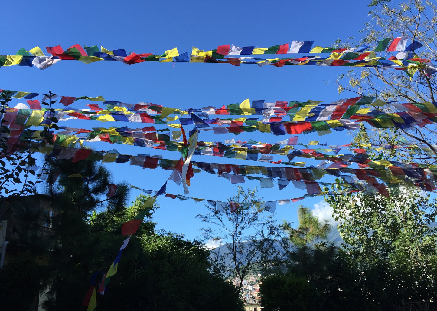 Tibetische Gebetsfahnen 25 Fähnchen, 6,25m, handgemacht in Nepal